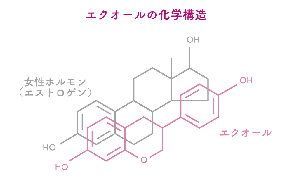 エクオールの化学構造